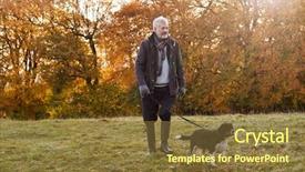  Presentation with walk - Amazing presentation design having exercising dogs - senior man taking dog backdrop and a tawny brown colored foreground
