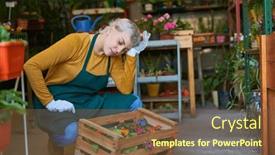  Presentation with nursery - Presentation theme featuring exhausted-young-woman-gardener background and a  colored foreground