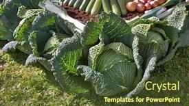  Presentation with exhibition - Cool new presentation with exhibition of vegetables at rural fair in city annecy backdrop and a tawny brown colored foreground