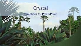  Presentation with papaya - Presentation theme having exo - tropical garden with agaves papaya background and a sky blue colored foreground