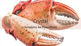 Presentation with crab - Theme having exoskeleton - cooked crab claws file contains background and a  colored foreground