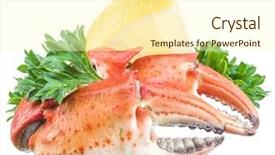  Presentation with cooked brown crab or edible - PPT layouts with exoskeleton - cooked crab claws with lemon background and a  colored foreground