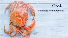  Presentation with cooked brown crab or edible - Audience pleasing slide set consisting of exoskeleton - cooked crab on old blue backdrop and a sky blue colored foreground