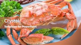  Presentation with cooked brown crab or edible - Cool new PPT theme with exoskeleton - seafood dish - cooked crab backdrop and a coral colored foreground