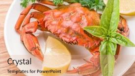  Presentation with seafood dis - Theme having exoskeleton - seafood dish - cooked crab background and a coral colored foreground