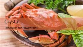  Presentation with crab - Cool new PPT layouts with exoskeleton - seafood dish - cooked crab backdrop and a red colored foreground