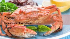  Presentation with crab - Cool new PPT layouts with exoskeleton - seafood dish - cooked crab backdrop and a coral colored foreground