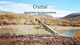  Presentation with wide - Cool new presentation with exoskeleton - wide angle isolated photo backdrop and a sky blue colored foreground