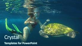  Presentation with sea - Presentation theme enhanced with exotic animals - beautiful young woman swims background and a ocean colored foreground