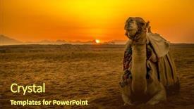  Presentation with exotic animals - Amazing PPT theme having exotic animals - camel in front of sunset backdrop and a tawny brown colored foreground