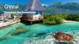  Presentation with exotic animals - Presentation theme featuring exotic animals - caribbean sea scenery with green background and a teal colored foreground