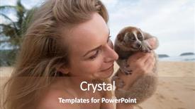  Presentation with exotic animals - Amazing PPT theme having exotic animals - slow loris in the hands backdrop and a tawny brown colored foreground