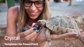  Presentation with exotic animals - Cool new PPT theme with exotic animals - woman feeding turtle backdrop and a coral colored foreground