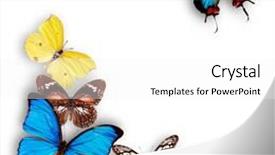  Presentation with butterflies - Cool new PPT theme with portrait of a happy young attractive man with a beard standing in front of a bathroom mirror and making eye contact backdrop and a cream colored foreground