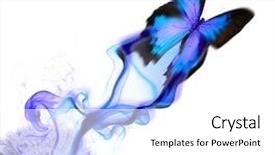  Presentation with butterfly - Audience pleasing PPT theme consisting of exotic butterfly design backdrop and a white colored foreground