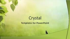  Presentation with butterfly - Colorful presentation enhanced with exotic butterfly on the flower backdrop and a blonde colored foreground