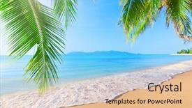  Presentation with palm beach - Audience pleasing presentation theme consisting of exotic coconut - palm and tropical beach backdrop and a lemonade colored foreground