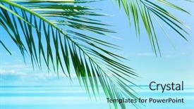  Presentation with crime scene philippines - PPT layouts enhanced with exotic coconut - sea scene background background and a  colored foreground