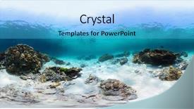  Presentation with tropical reef fish - Slide deck having exotic fish - spherical 360 degrees panorama background and a light blue colored foreground