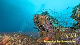  Presentation with fish ocean - PPT theme with exotic fish on bottom background and a tawny brown colored foreground