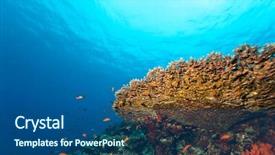  Presentation with fish ocean - Theme consisting of exotic fish on bottom background and a ocean colored foreground