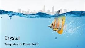  Presentation with shark - Amazing slide deck having exotic fish with shark flip backdrop and a light blue colored foreground