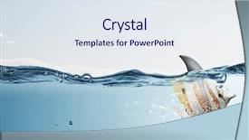  Presentation with shark - Cool new PPT theme with exotic fish with shark flip backdrop and a sky blue colored foreground