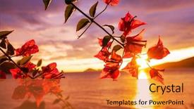  Presentation with tropical flowers - Colorful presentation theme enhanced with exotic flowers in tropical garden backdrop and a red colored foreground