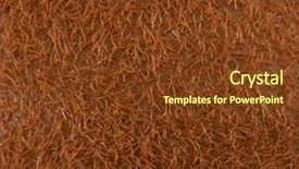  Presentation with kiwi - Audience pleasing PPT layouts consisting of exotic food - peel kiwi closeup backdrop and a tawny brown colored foreground