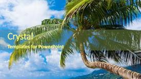  Presentation with jungle - Presentation theme enhanced with exotic frame jungle background and a tawny brown colored foreground