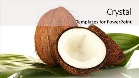  Presentation with white and green - Beautiful slides featuring portrait of one attractive sensual sexy young cool passionate blonde woman with long hair in leather black jacket holding rope in hand on wooden background horizontal picture backdrop and a gray colored foreground