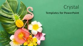  Presentation with frame pink - Amazing presentation design having exotic-jungle-summer-frame-summer backdrop and a seafoam green colored foreground