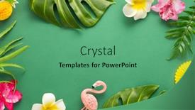  Presentation with flat - PPT layouts consisting of exotic-jungle-summer-frame-summer background and a seafoam green colored foreground