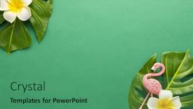  Presentation with beach frame - Beautiful presentation design featuring exotic-jungle-summer-frame-summer backdrop and a ocean colored foreground