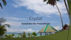  Presentation with summer trees - Theme having exotic palm trees growing on green grass near the sea summer landscape background and a light blue colored foreground