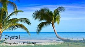  Presentation with palm trees on a - Cool new slides with exotic palm trees on luxury backdrop and a light blue colored foreground