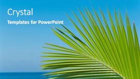  Presentation with paradise - 