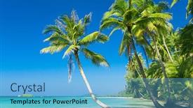  Presentation with serenity - Presentation enhanced with exotic-paradise-serenity-shore background and a light blue colored foreground