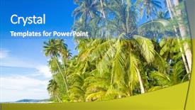  Presentation with serenity - Colorful slide set enhanced with exotic-paradise-serenity-shore backdrop and a cobalt blue colored foreground