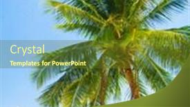  Presentation with serenity - Colorful presentation design enhanced with exotic paradise serenity shore backdrop and a tawny brown colored foreground