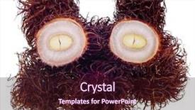  Presentation with rambutan - Beautiful presentation featuring exotic rambutan fruit on white backdrop and a wine colored foreground