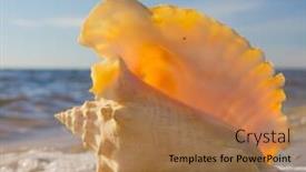 Presentation with treasure - Colorful PPT layouts enhanced with exotic shore beach treasure backdrop and a coral colored foreground
