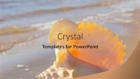  Presentation with treasure - Beautiful PPT layouts featuring exotic shore beach treasure backdrop and a coral colored foreground