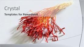  Presentation with parsian - PPT layouts with exotic-spice-saffron-stigmas background and a sky blue colored foreground