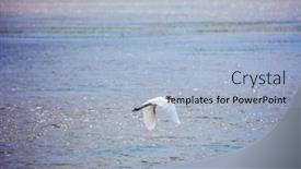  Presentation with kenya - PPT theme having exotic-trip-to-africa-great background and a light blue colored foreground