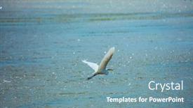  Presentation with kenya - PPT theme enhanced with exotic-trip-to-africa-southeast background and a seafoam green colored foreground