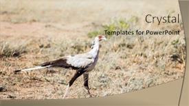  Presentation with savannah - Amazing slide set having exotic-trip-to-africa-southeast backdrop and a lemonade colored foreground