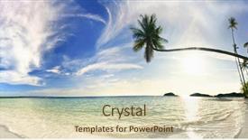 Presentation with tropical beach party - Theme featuring exotic tropical beach under blue background and a soft green colored foreground
