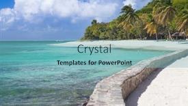  Presentation with palm beach - PPT layouts featuring exotic-tropical-beach-with-palm background and a light blue colored foreground