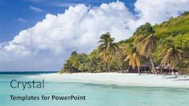 Presentation with palm beach - Cool new slides with exotic-tropical-beach-with-palm backdrop and a light blue colored foreground